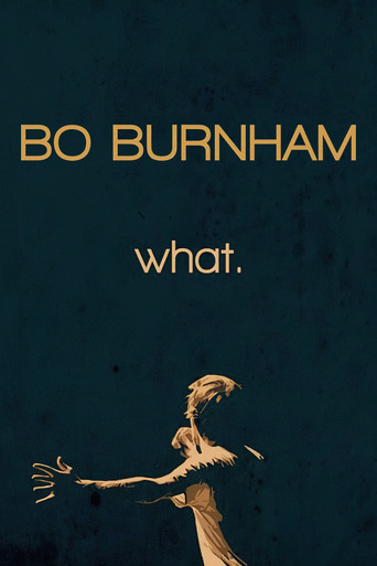 Okładka filmu Bo Burnham: What.