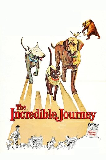 Okładka filmu The Incredible Journey