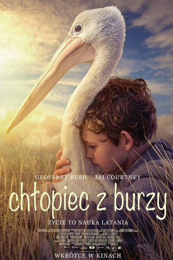 Okładka filmu Chłopiec z burzy