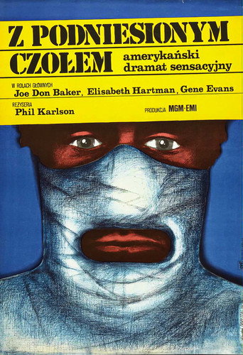 Okładka filmu Z podniesionym czołem