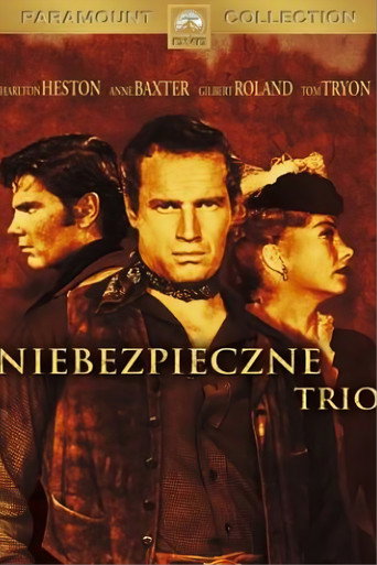 Okładka filmu Niebezpieczne trio