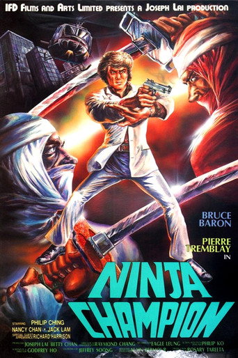 Okładka filmu Ninja Champion
