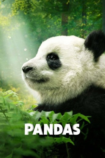 Okładka filmu Pandas