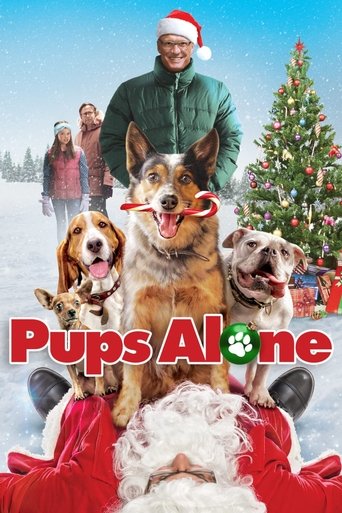 Okładka filmu Psiaki Same w Domu