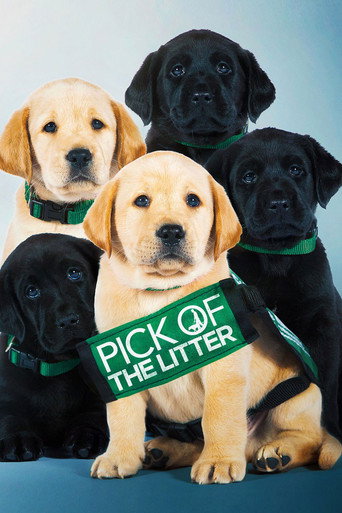 Okładka filmu Pick of the Litter