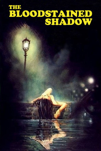 Okładka filmu The Bloodstained Shadow