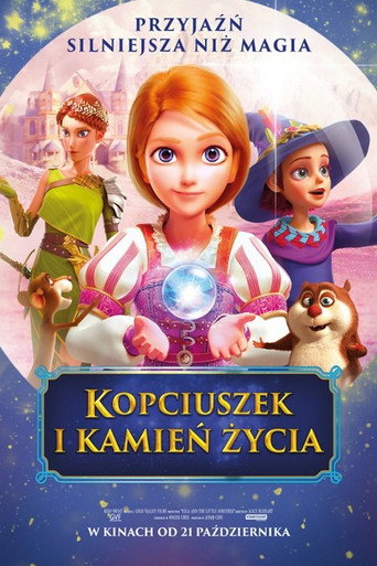 Okładka filmu Kopciuszek i kamień życia