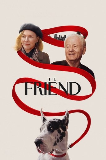 Okładka filmu Przyjaciel