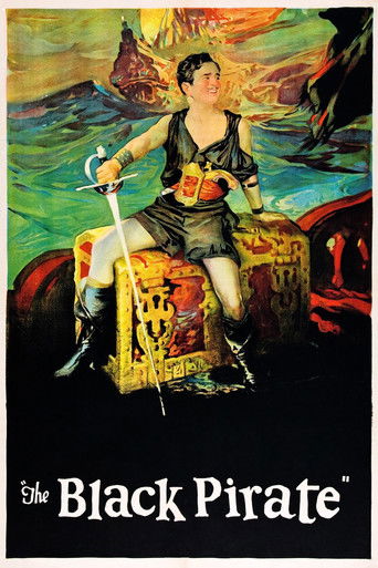 Okładka filmu The Black Pirate