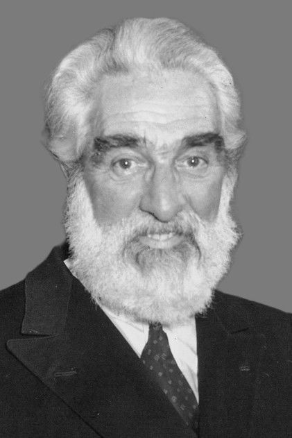 Zdjęcie Noel Purcell