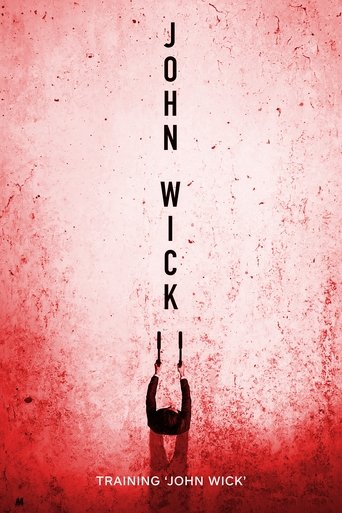 Okładka filmu Training 'John Wick’