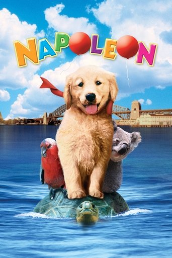 Okładka filmu Napoleon