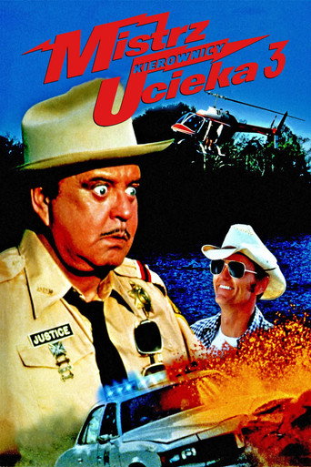 Okładka filmu Mistrz kierownicy ucieka 3