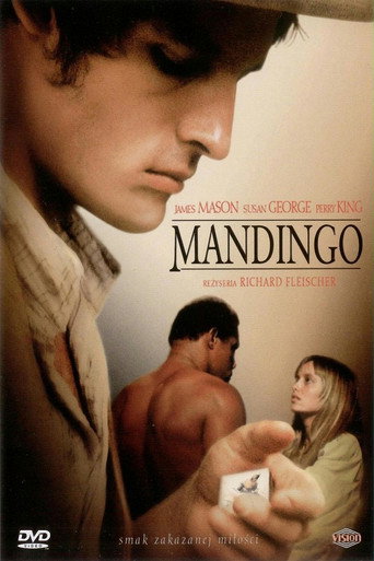 Okładka filmu Mandingo