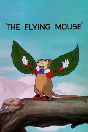 Okładka filmu The Flying Mouse