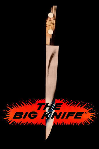 Okładka filmu The Big Knife