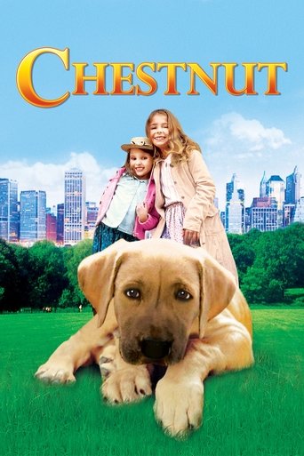 Okładka filmu Chestnut: Hero of Central Park