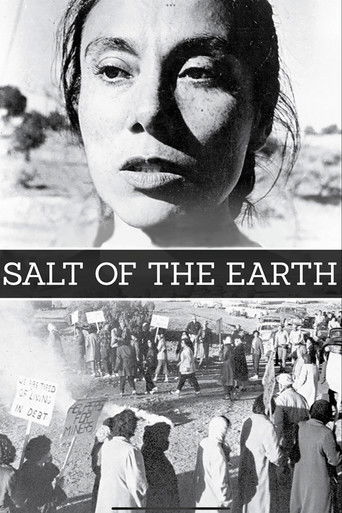 Okładka filmu Salt of the Earth