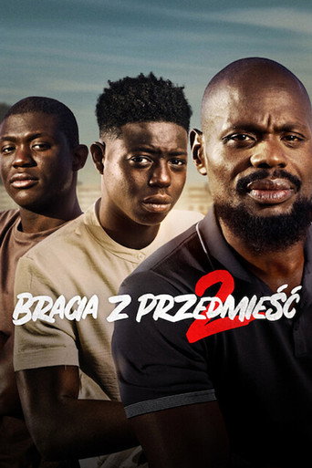 Okładka filmu Bracia z przedmieść 2