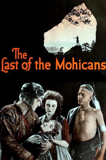 Okładka filmu The Last of the Mohicans