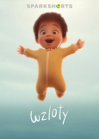 Okładka filmu Wzloty