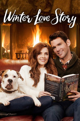 Okładka filmu Winter Love Story