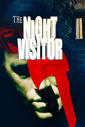 Okładka filmu The Night Visitor