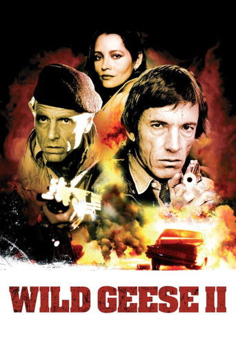 Okładka filmu Dzikie gęsi II