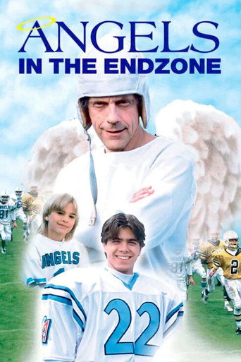 Okładka filmu Angels in the Endzone