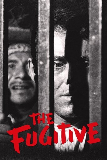 Okładka filmu The Fugitive