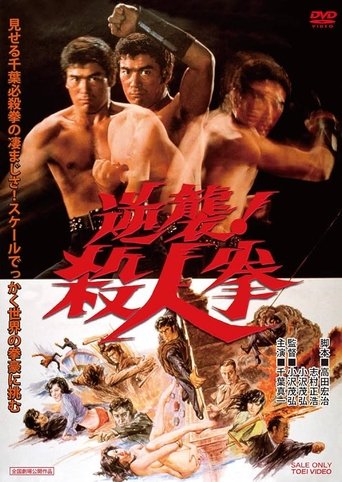 Okładka filmu The Streetfighter’s Last Revenge
