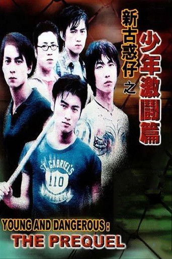 Okładka filmu 新古惑仔之少年激鬥篇