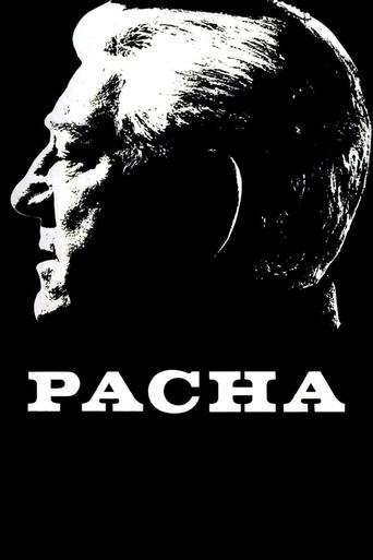 Okładka filmu Pasha
