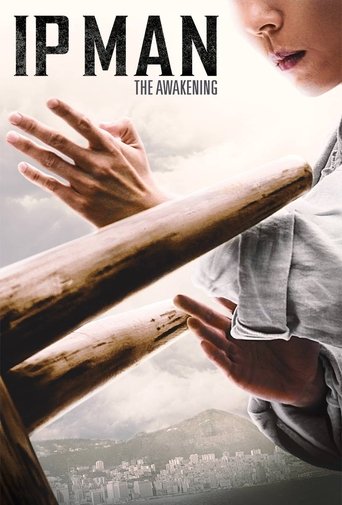 Okładka filmu Ip Man: The Awakening