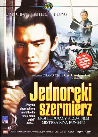 Okładka filmu Jednoręki Szermierz