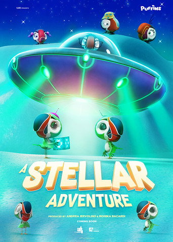 Okładka filmu A Stellar Adventure