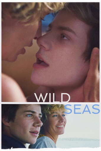 Okładka filmu Wild Seas