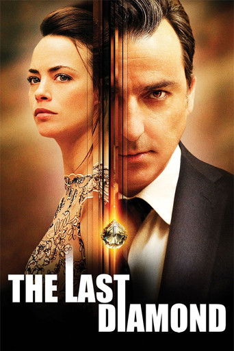 Okładka filmu The Last Diamond