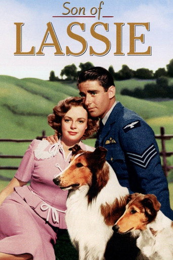 Okładka filmu Son of Lassie