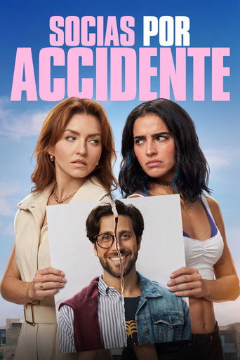 Okładka filmu Accidental Partners