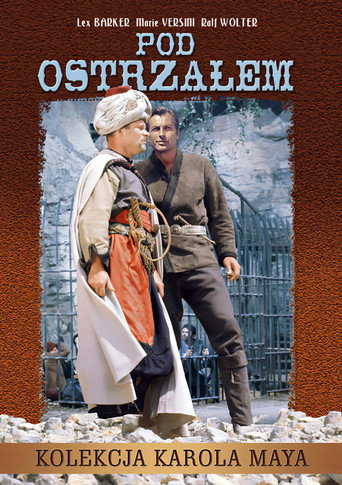 Okładka filmu Pod ostrzałem