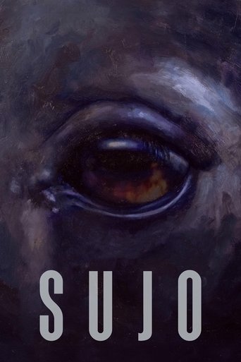 Okładka filmu Sujo