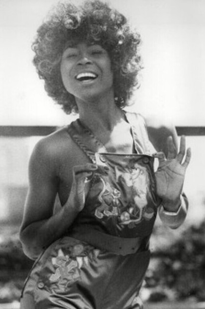 Zdjęcie Minah Bird