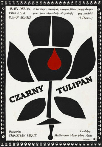 Okładka filmu Czarny tulipan