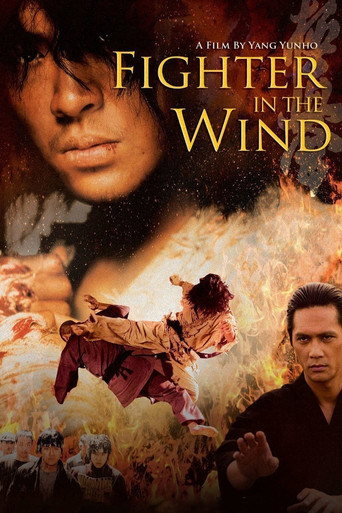 Okładka filmu Fighter In The Wind