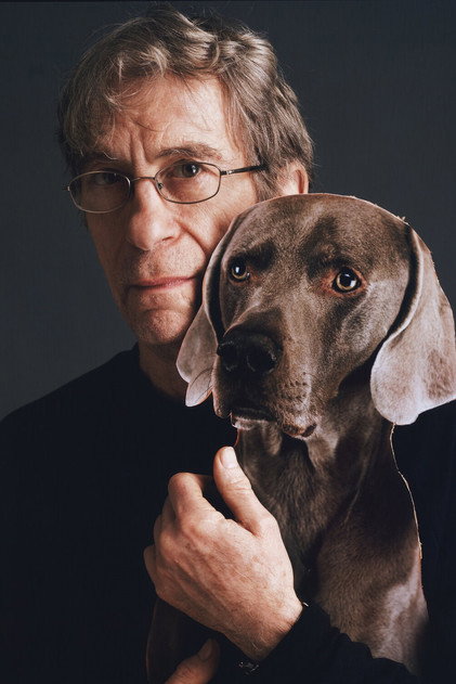 Zdjęcie William Wegman