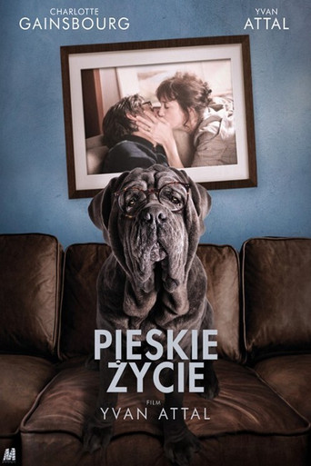 Okładka filmu Pieskie życie