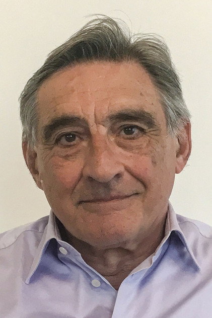 Zdjęcie Ahmet İnsel