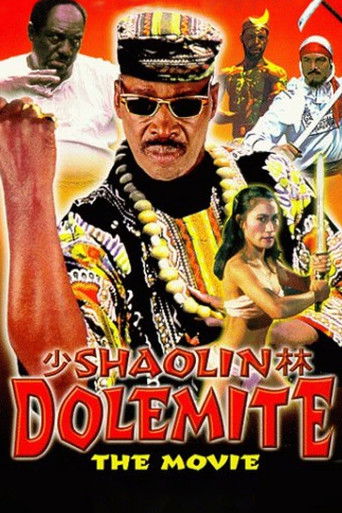 Okładka filmu Shaolin Dolemite