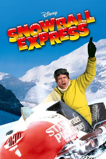 Okładka filmu Snowball Express